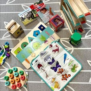 Lovevery toys in EUC